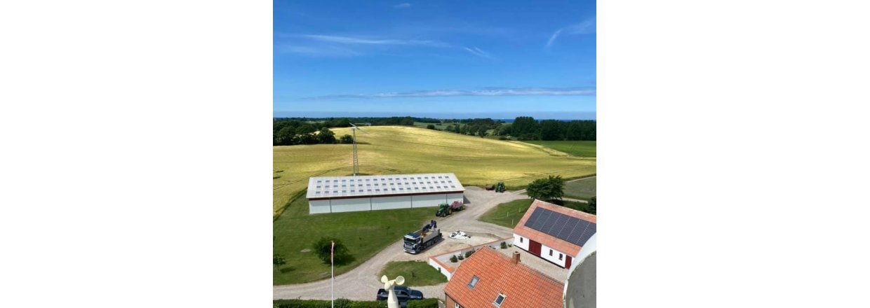 Vrksted med grn strm