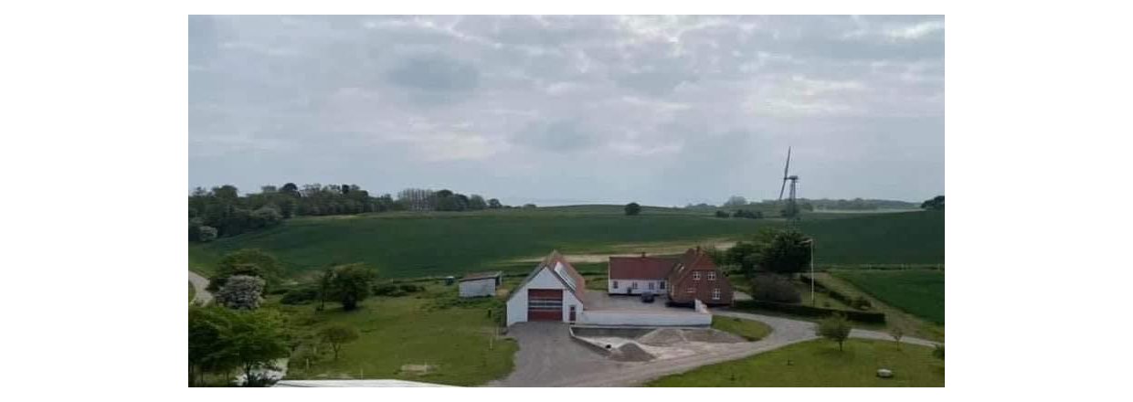 Vrksted med grn strm